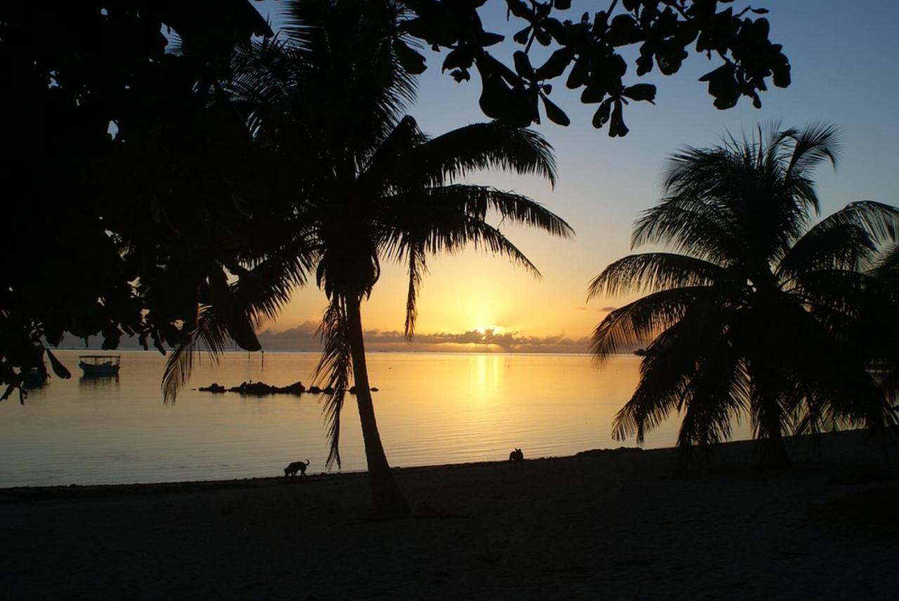 Tahiti - Taharuu Houses Surf & Beach Papara Zewnętrze zdjęcie